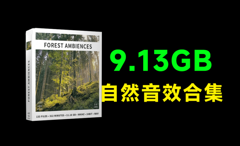 超9.13GB！顶级自然环境音效合集，含鸟类的鸣叫和风声、树声等，133个纯净的自然森林环境音效素材